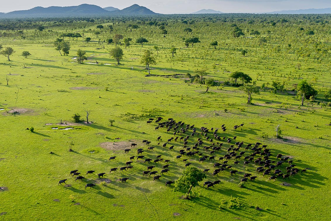 Roho Ya Selous en Selous Reserve