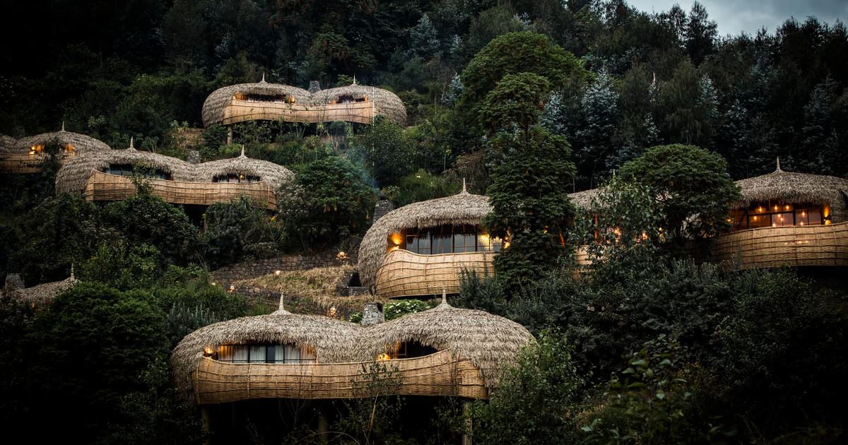 Bisate Lodge | LAT.40
