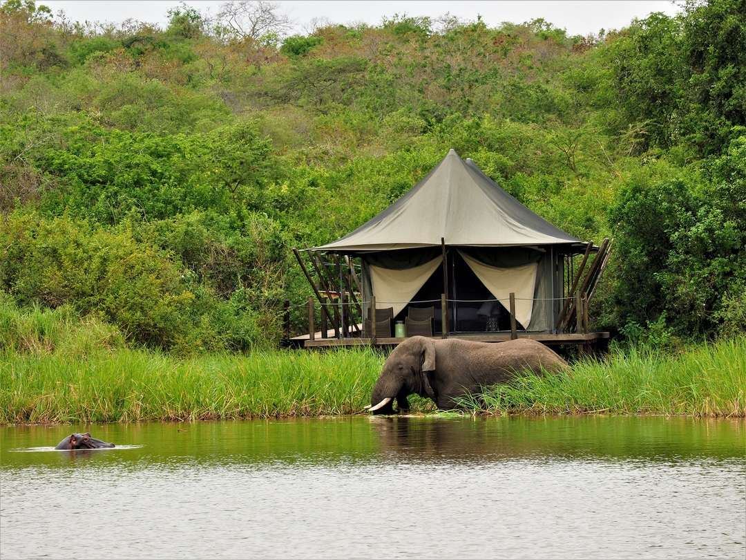 Akagera National Park