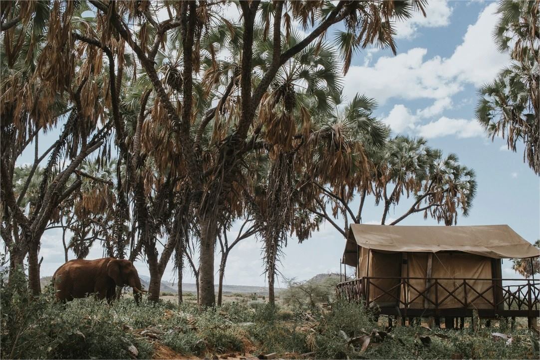 Elephant Bedroom Camp | LAT.40