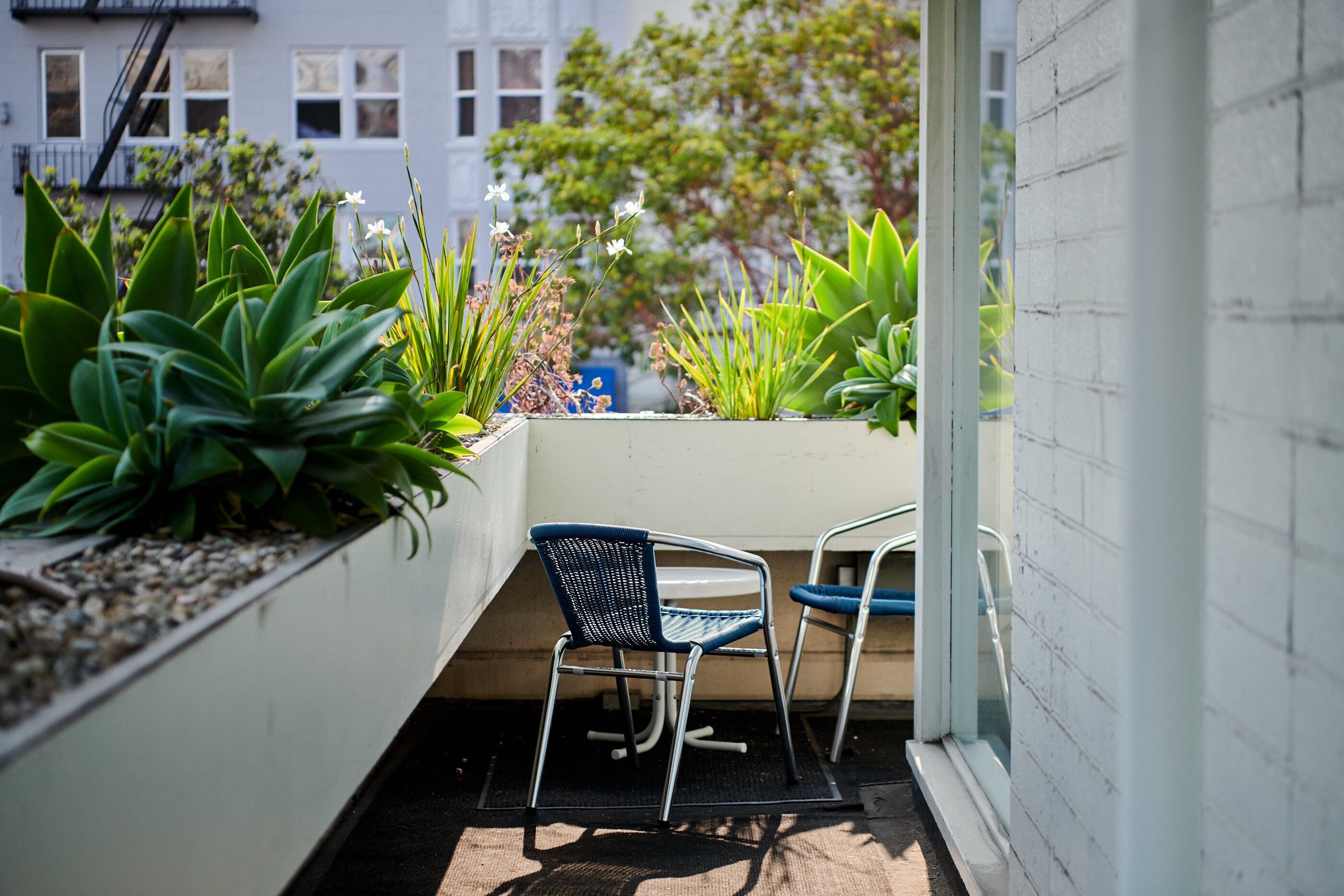 The Phoenix Hotel en San Francisco