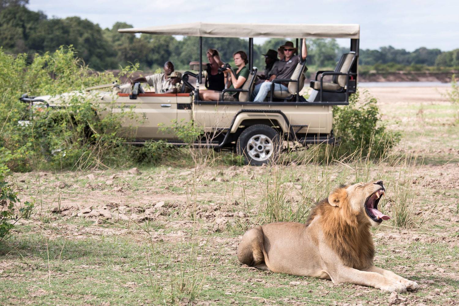 Luangwa Valley