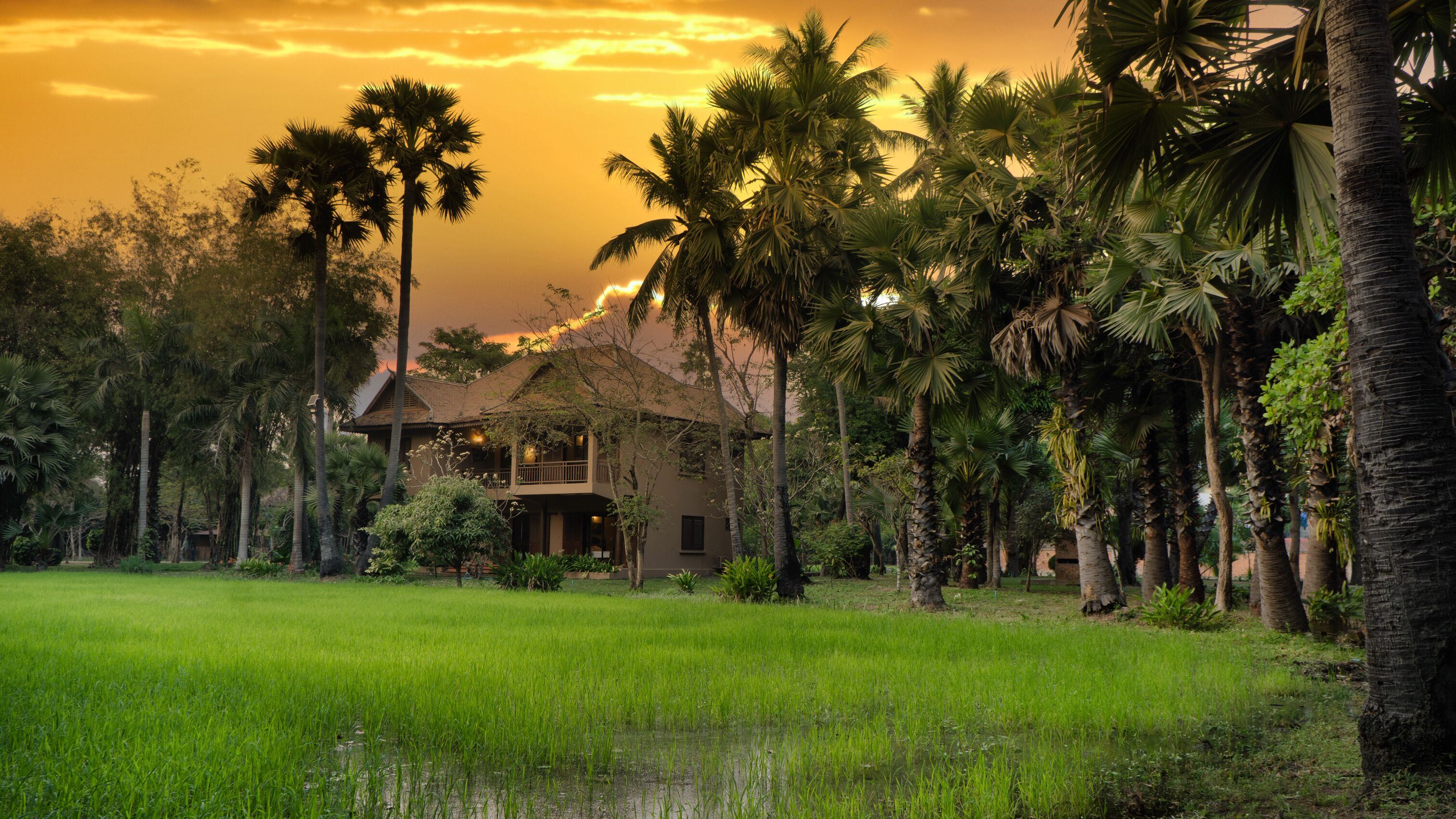Mane Family Vacation en Siem Reap
