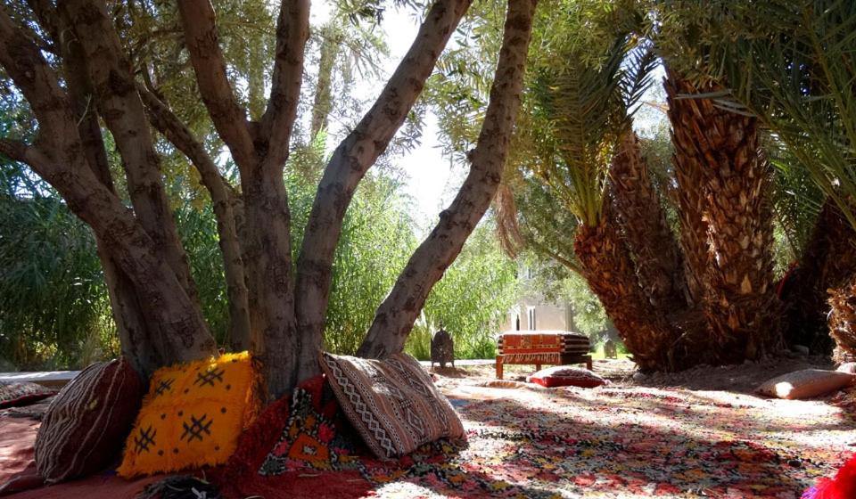LMa Lodge en Skoura