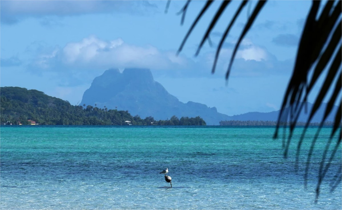 Eden Private Island (Ex La Pirogue Api) en Tahaa