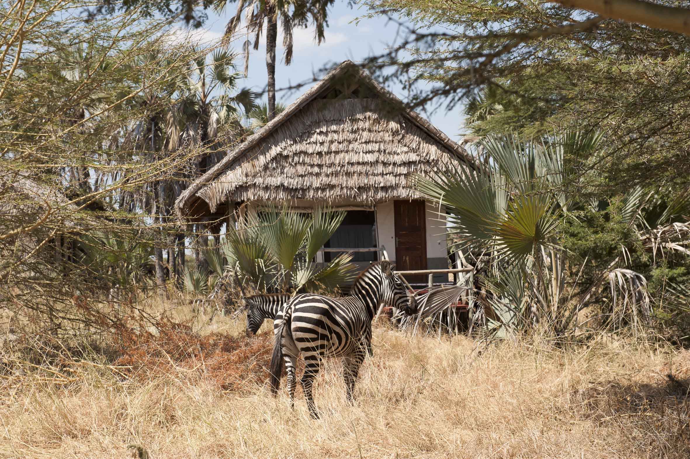 Maramboi Tented Lodge en Tarangire