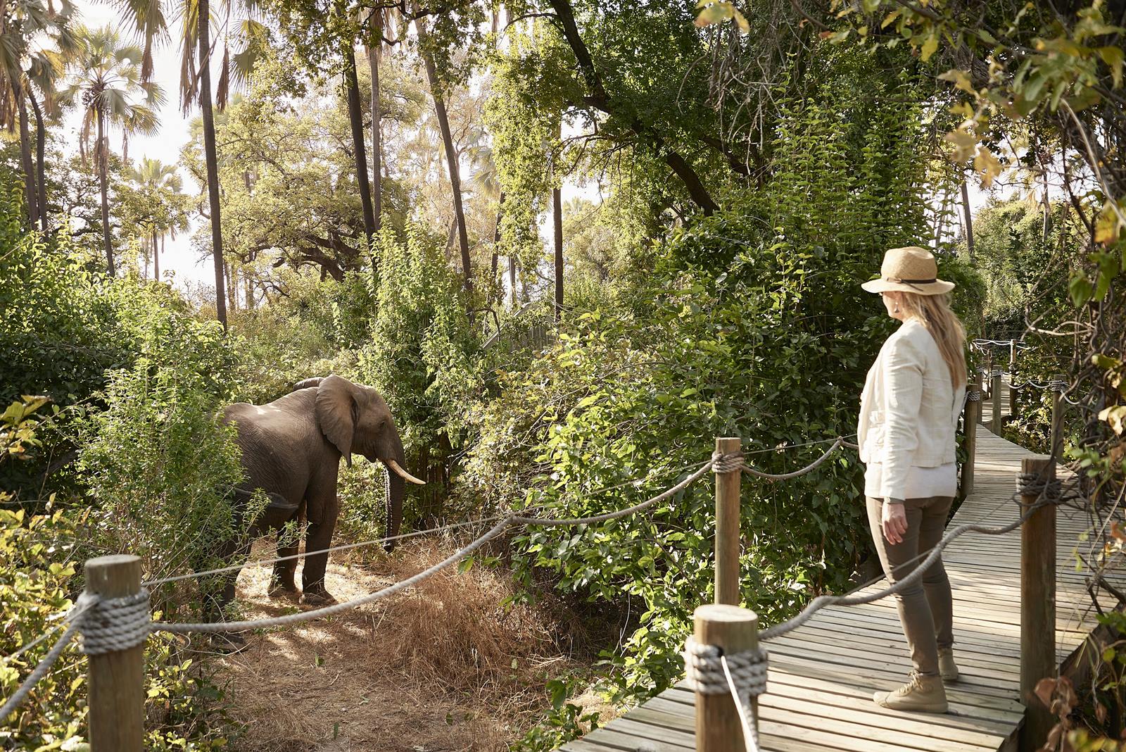 Victoria Falls River Lodge en Victoria Falls