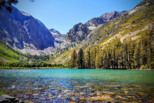 Tamarack Lodge and Resort en Yosemite 