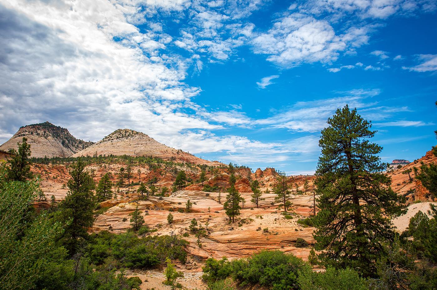 Zion Mountain Ranch en United States