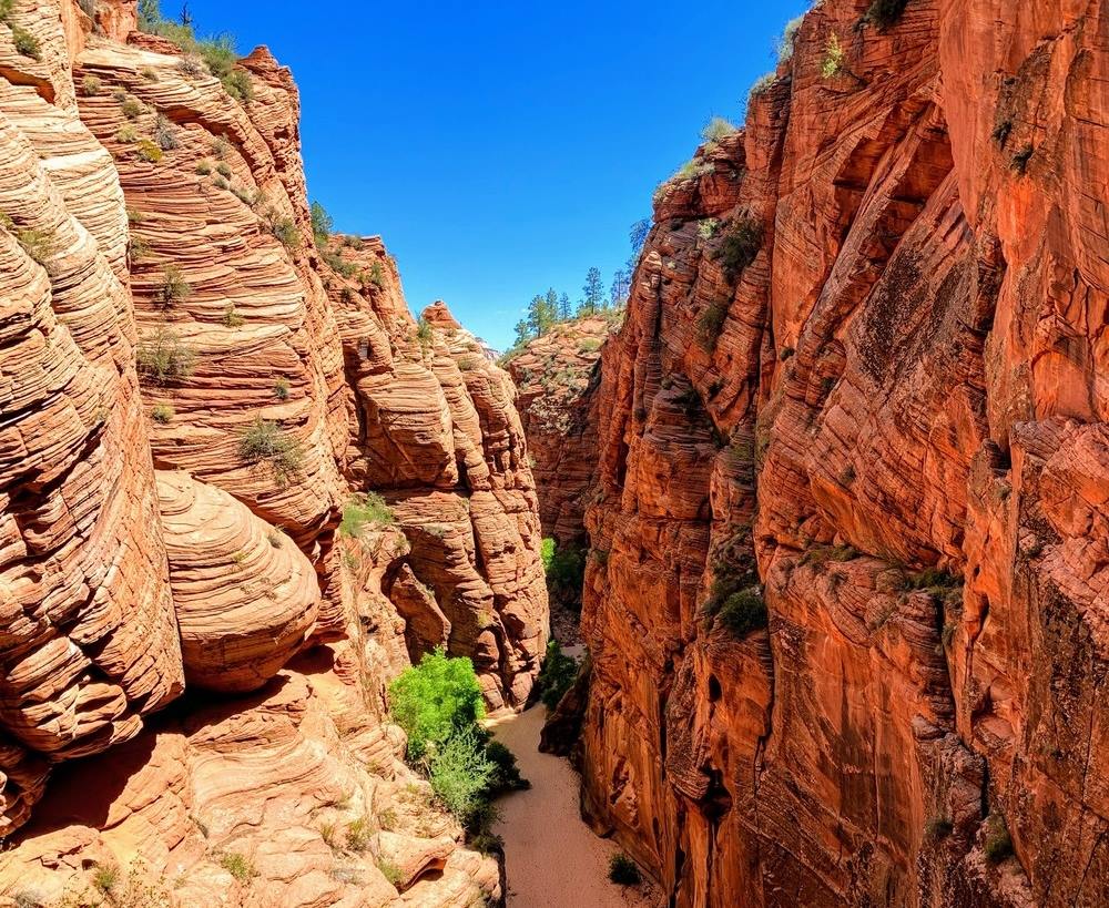 Zion Mountain Ranch en United States