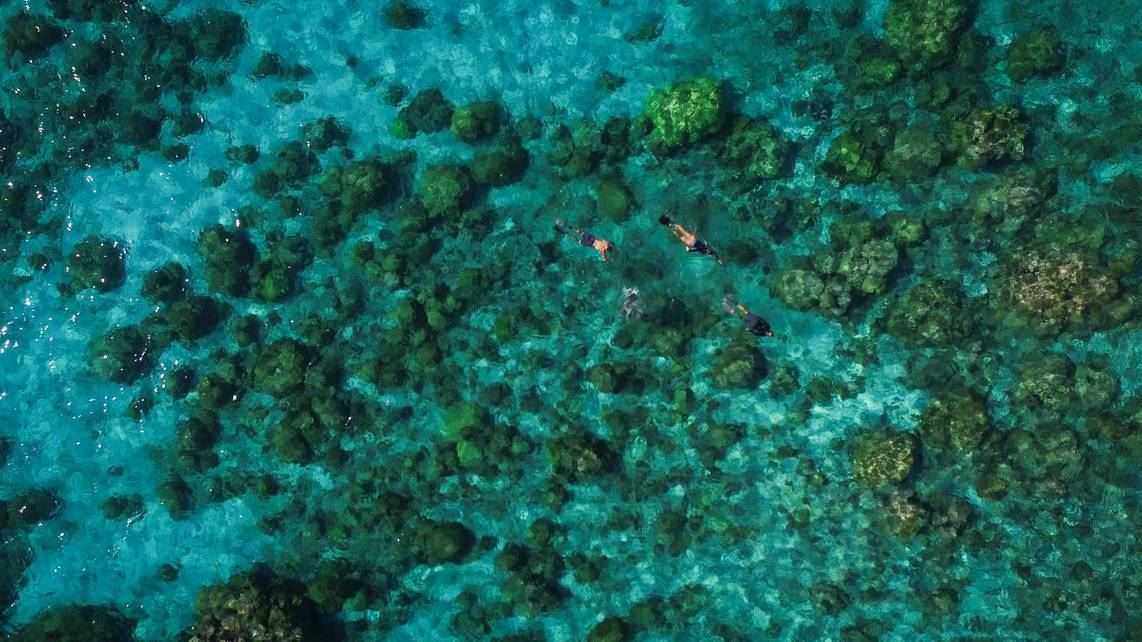 Alphonse Island Lodge en Alphonse Island