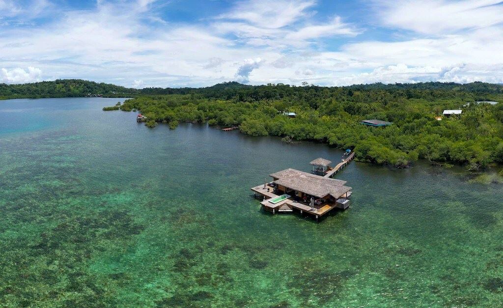 Bocas Coral Reef en Bocas del Toro