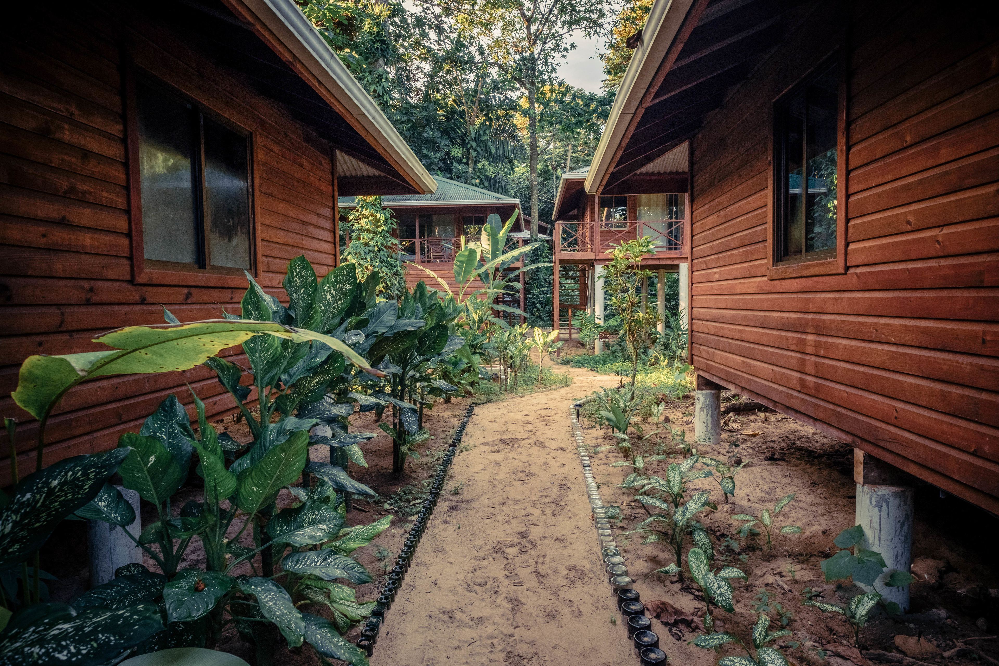 Palmar Beach Lodge en Bocas del Toro