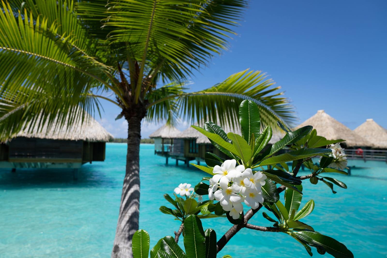 The St Regis Bora Bora en Bora Bora