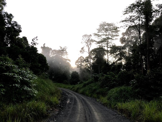 Imagen de viaje LAT.40