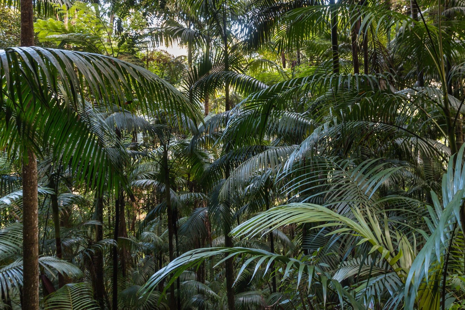 Imagen de viaje LAT.40