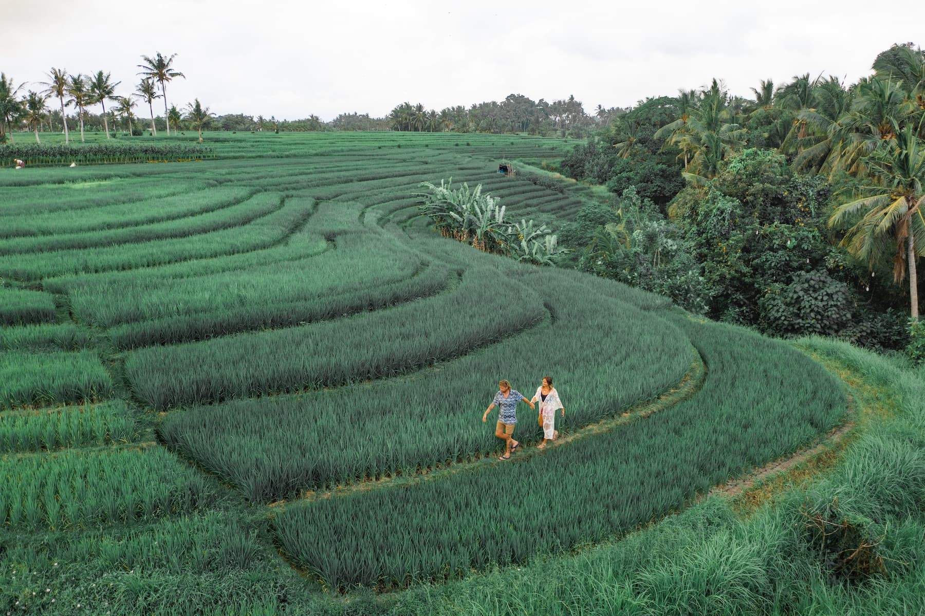 Ulaman Eco Retreat en Canggu