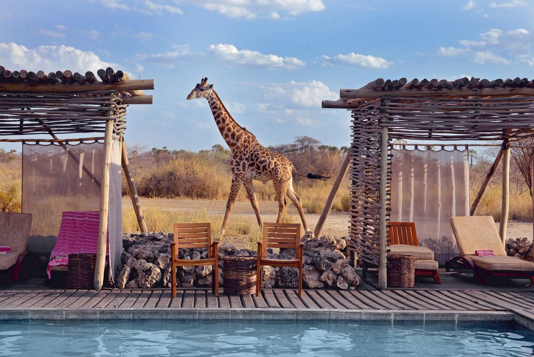 Luna de Miel Tanzania y Six Senses Zil Pasyon diseñado por LAT.40