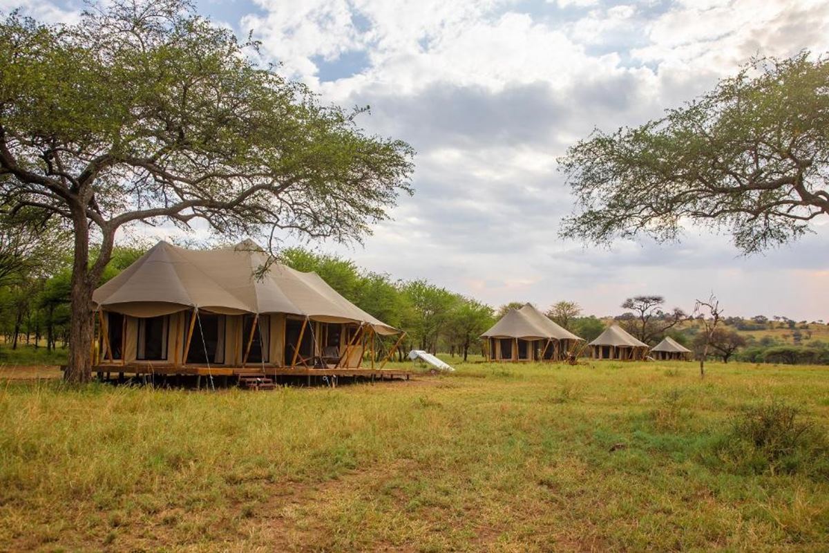 Cherero Camp en Serengeti