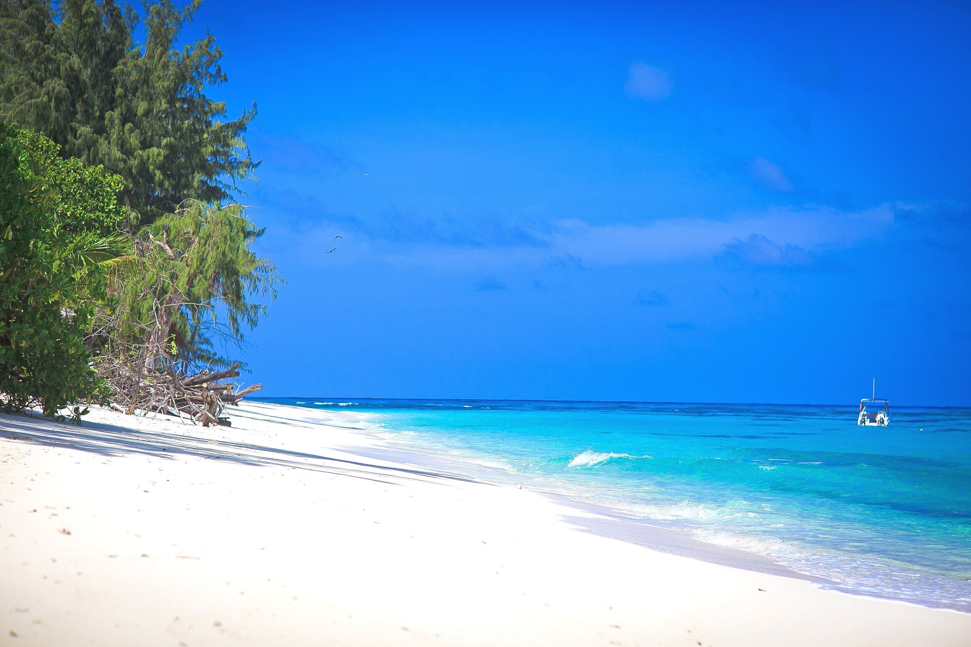 Denis Private Island en Denis Island