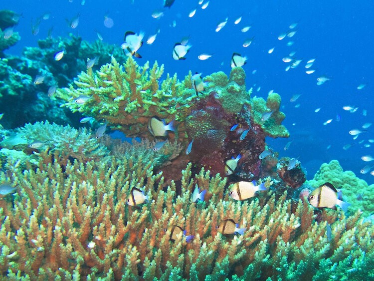Vatuvara Private Island en Fiji