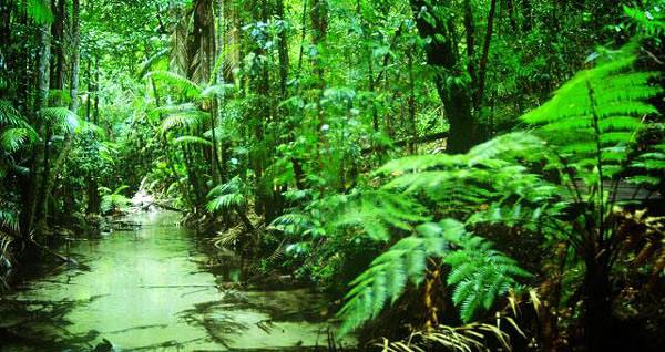 Kingfisher Bay Resort en Australia