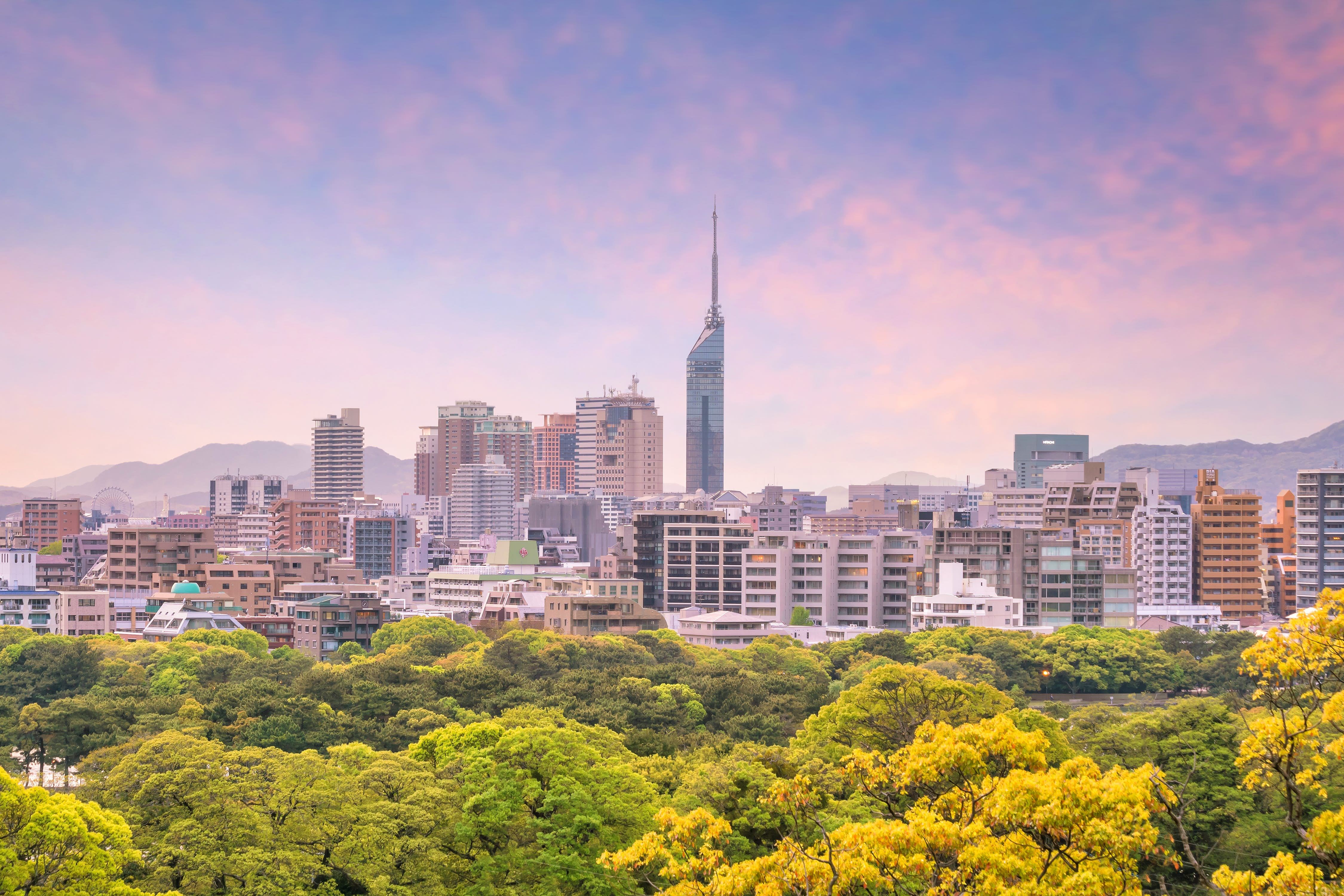 Fukuoka | LAT.40