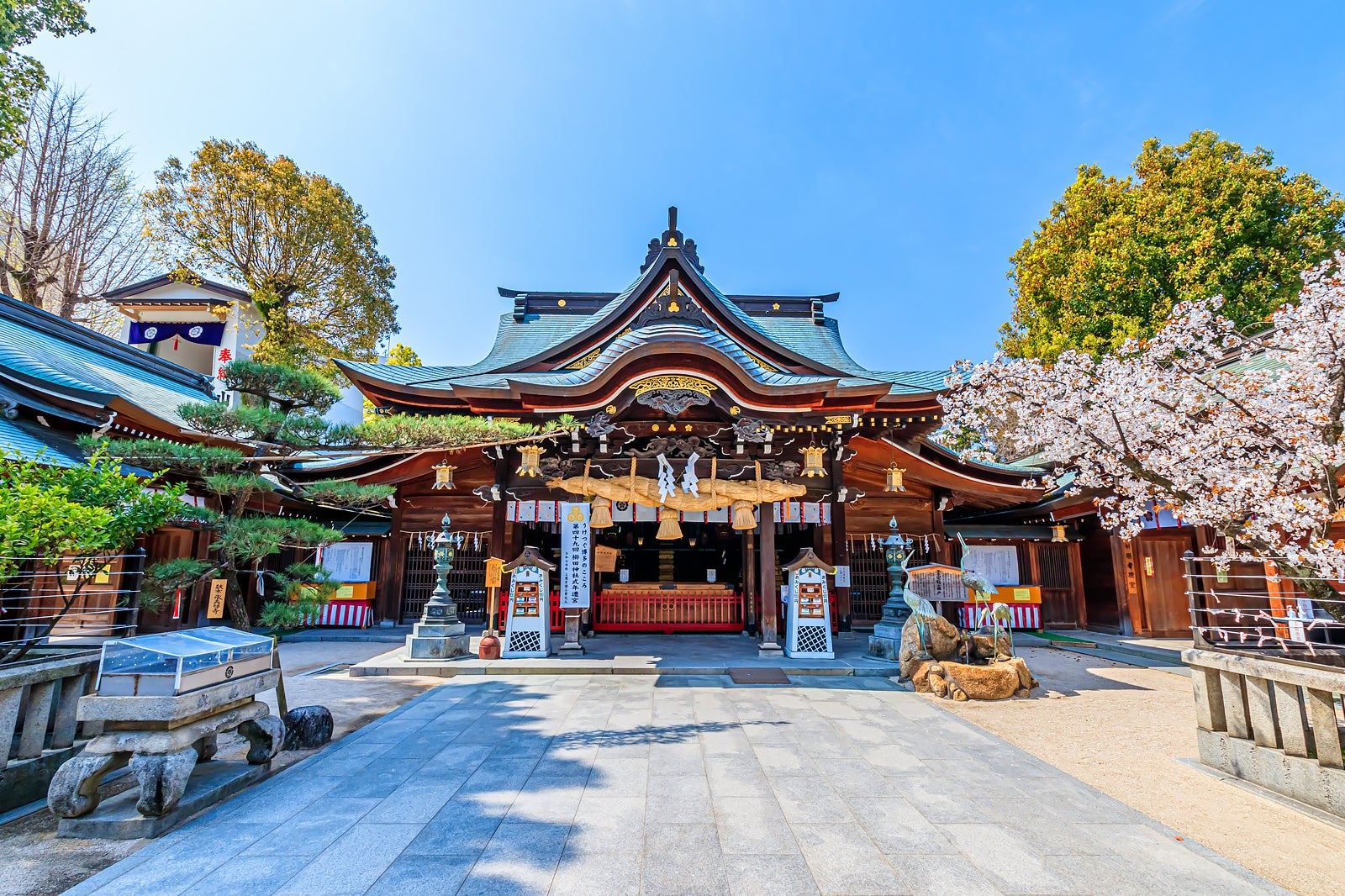Fukuoka | LAT.40