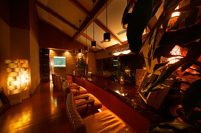 Ryokan Hakone Ginyu en Hakone