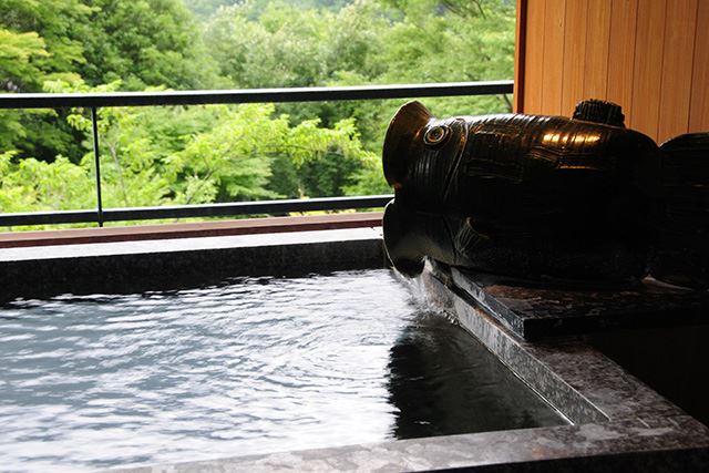 Ryokan Hakone Ginyu en Hakone