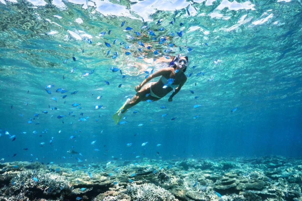 Gran Barrera de Coral