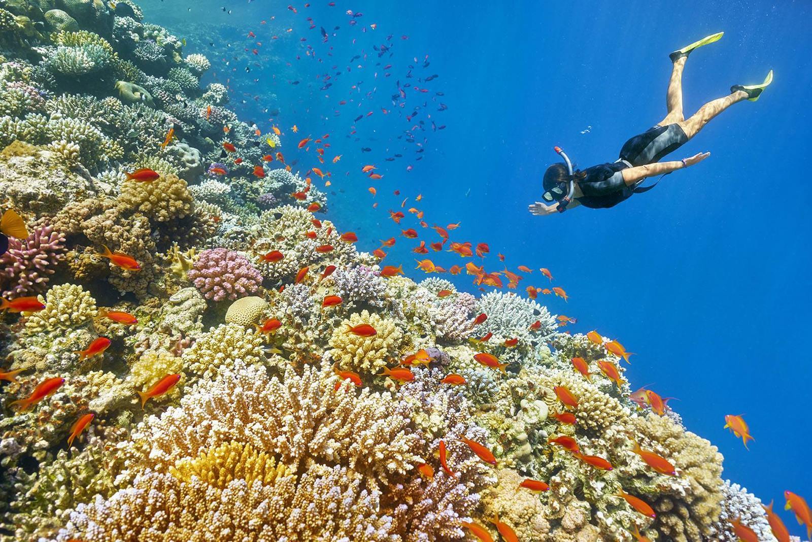 Hurghada | LAT.40