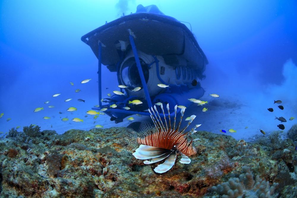 Isla Mauricio