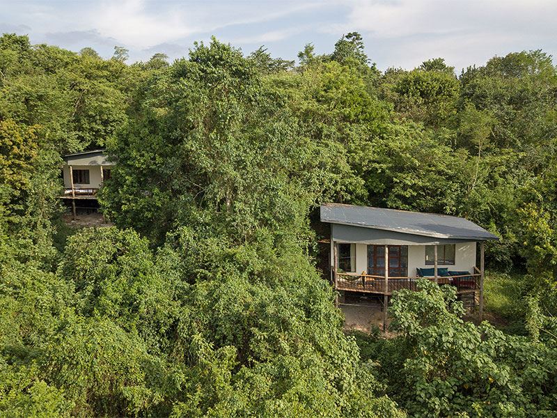 Turaco Treetops en su destino