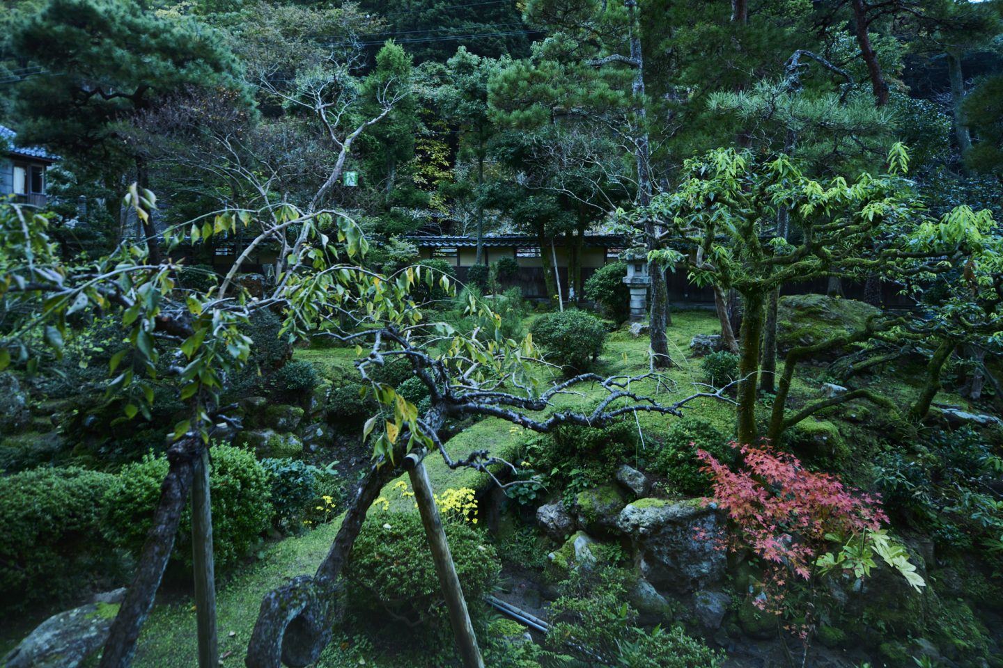 Mikiya en Kinosaki Onsen