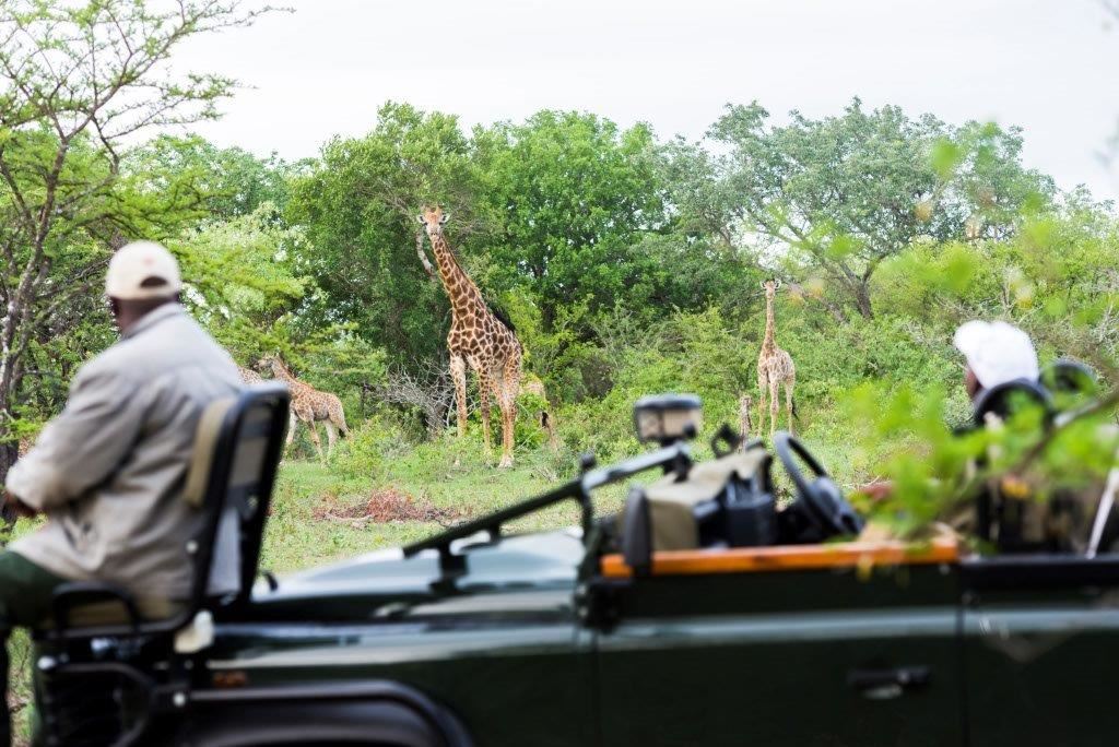 AM Lodge en Kruger National Park