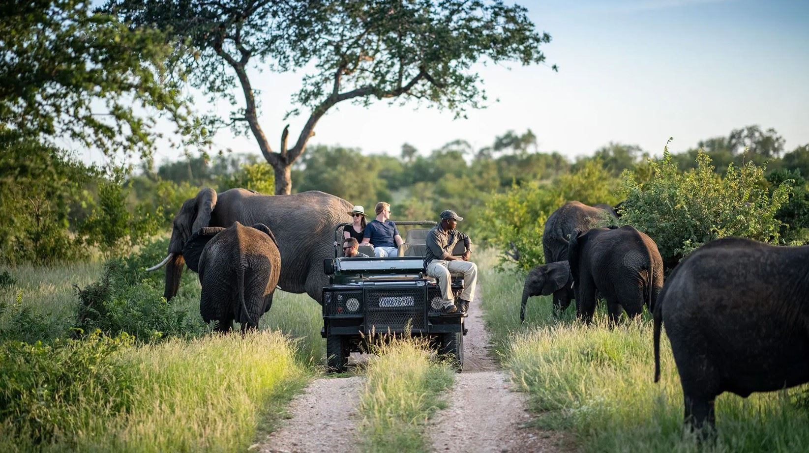 AM Lodge en Kruger National Park