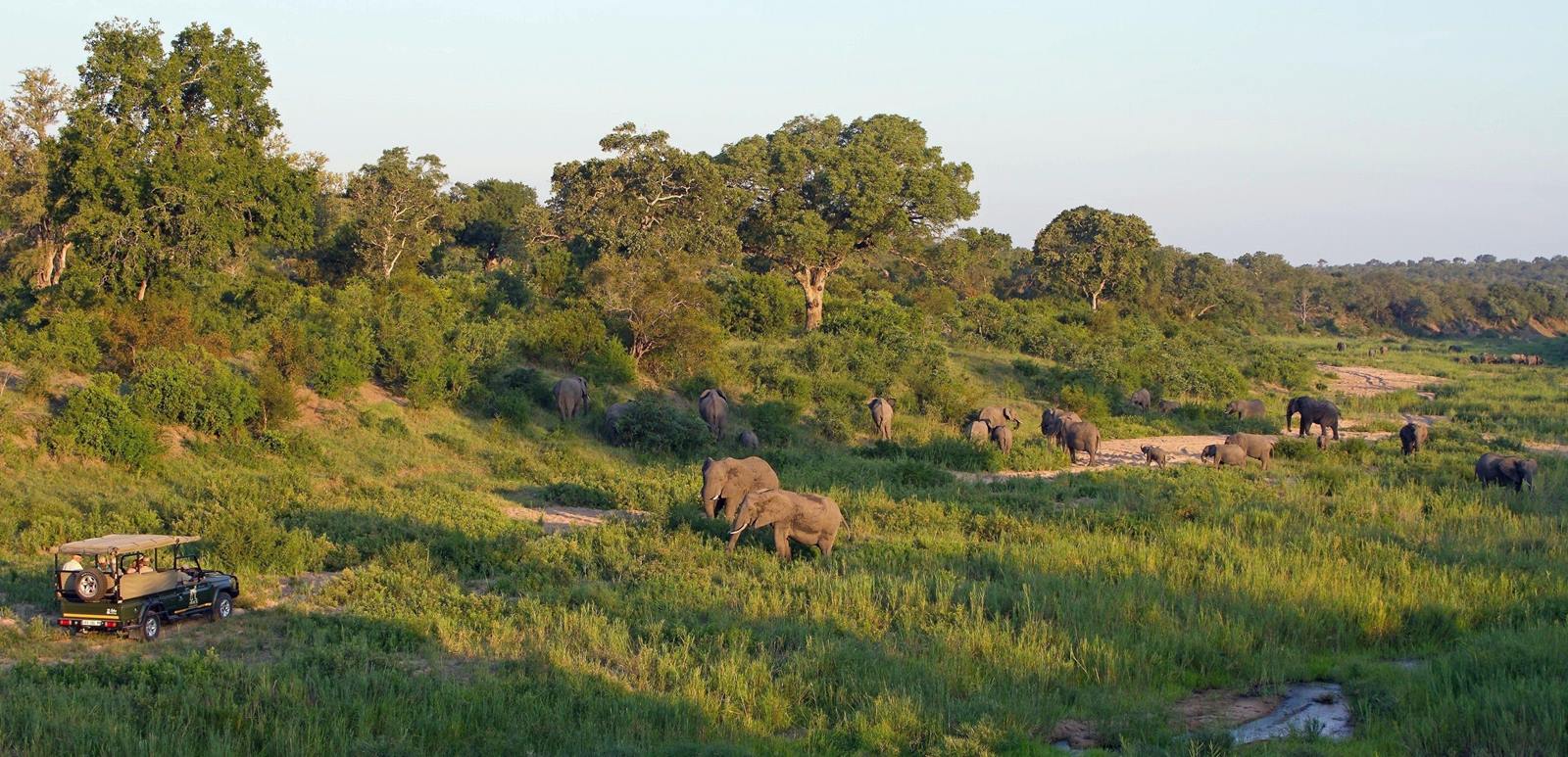 Jock Safari Lodge en su destino