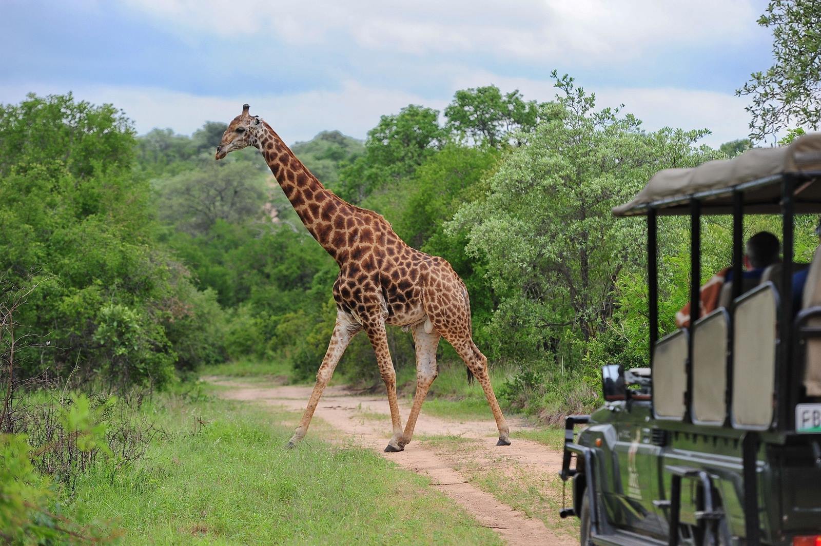 Jock Safari Lodge en Kruger National Park