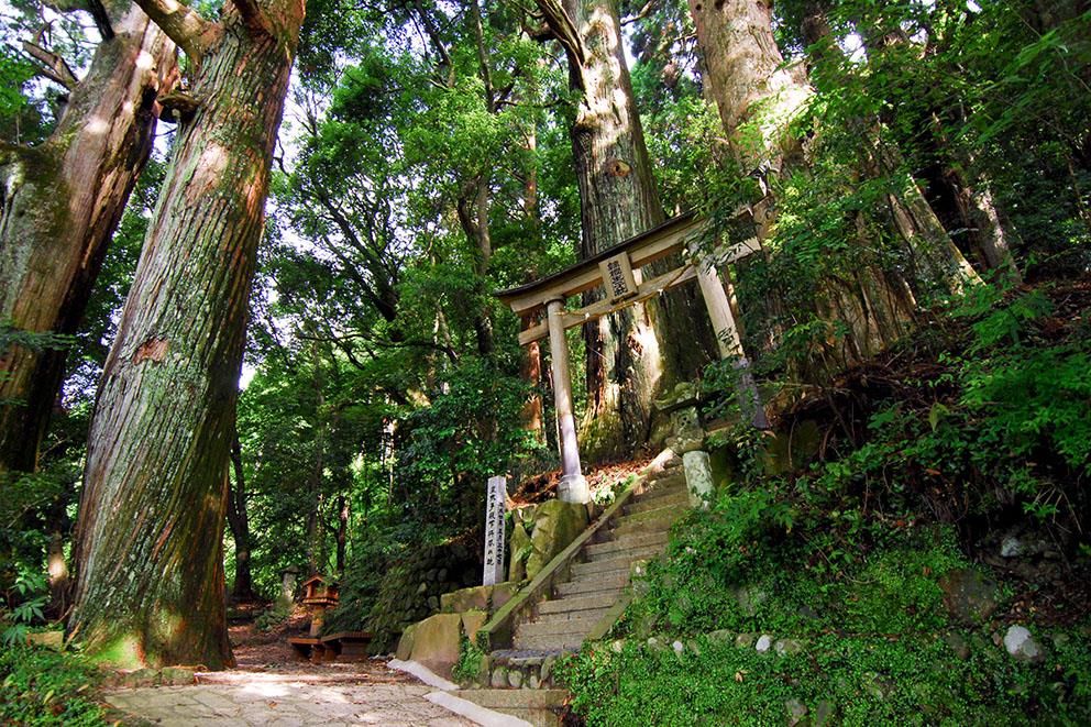 Kumano Kodo | LAT.40