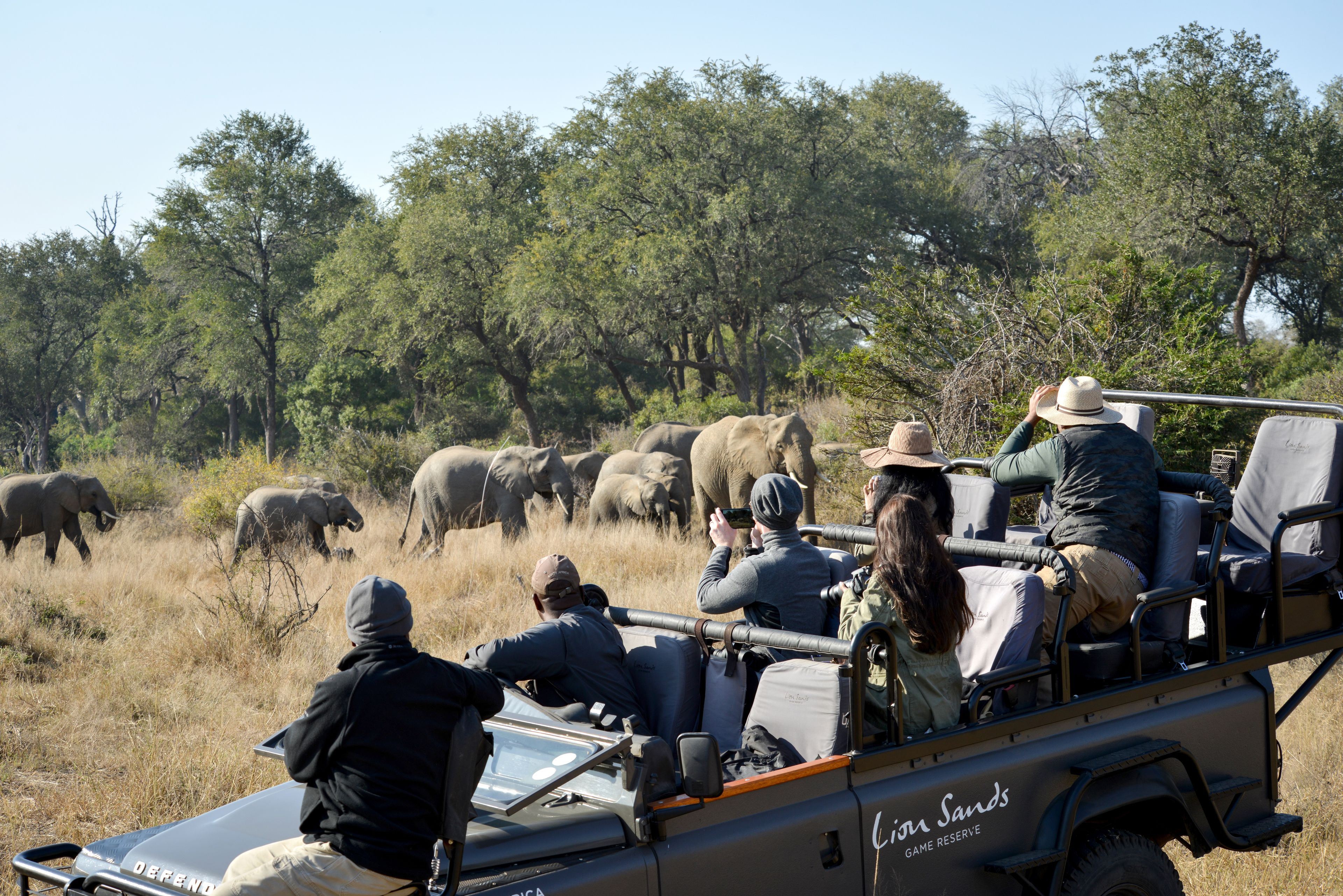 Sabi Sands