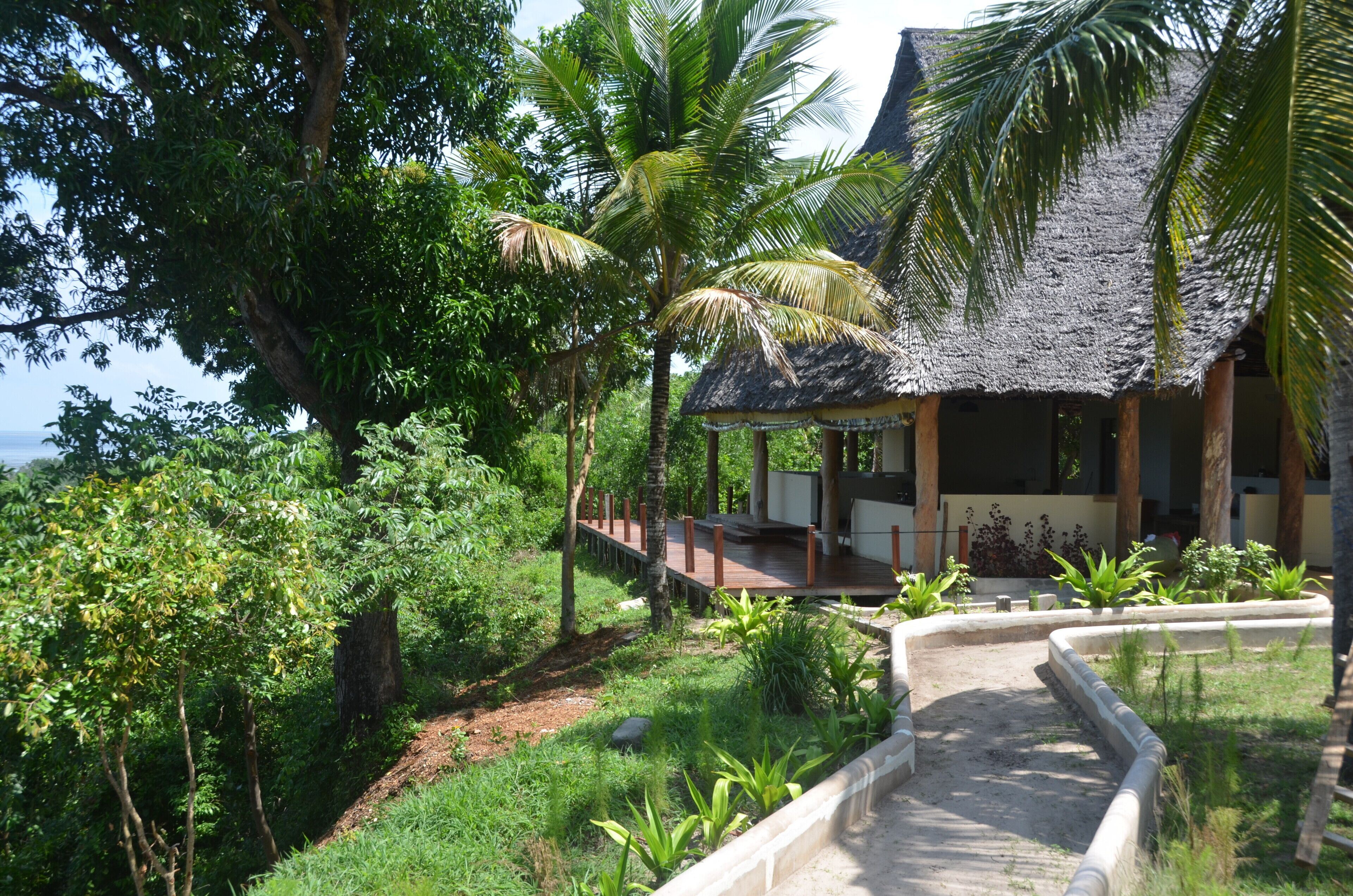 Kileleni en mafia island