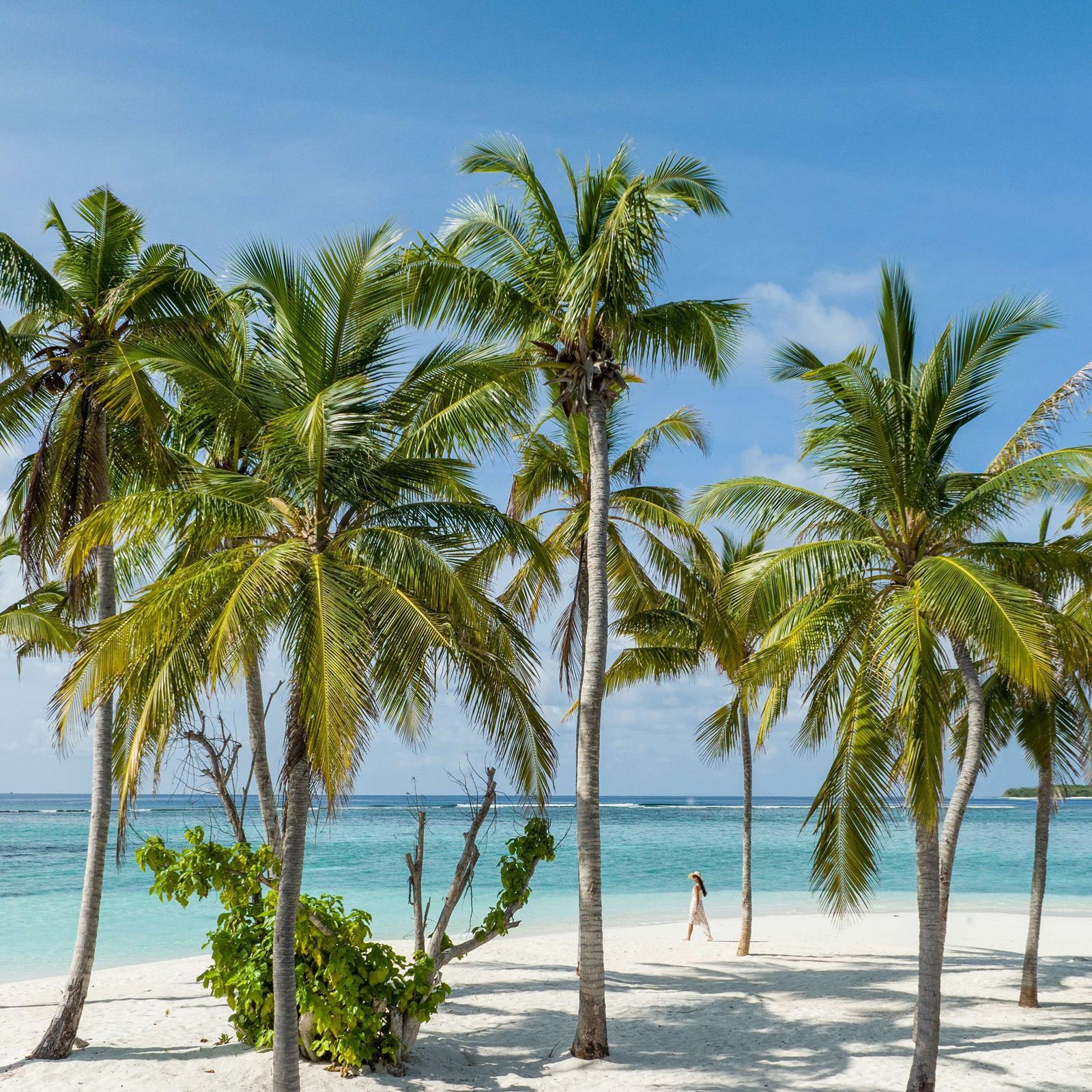 Alila Kothaifaru Maldives en Raa Atoll