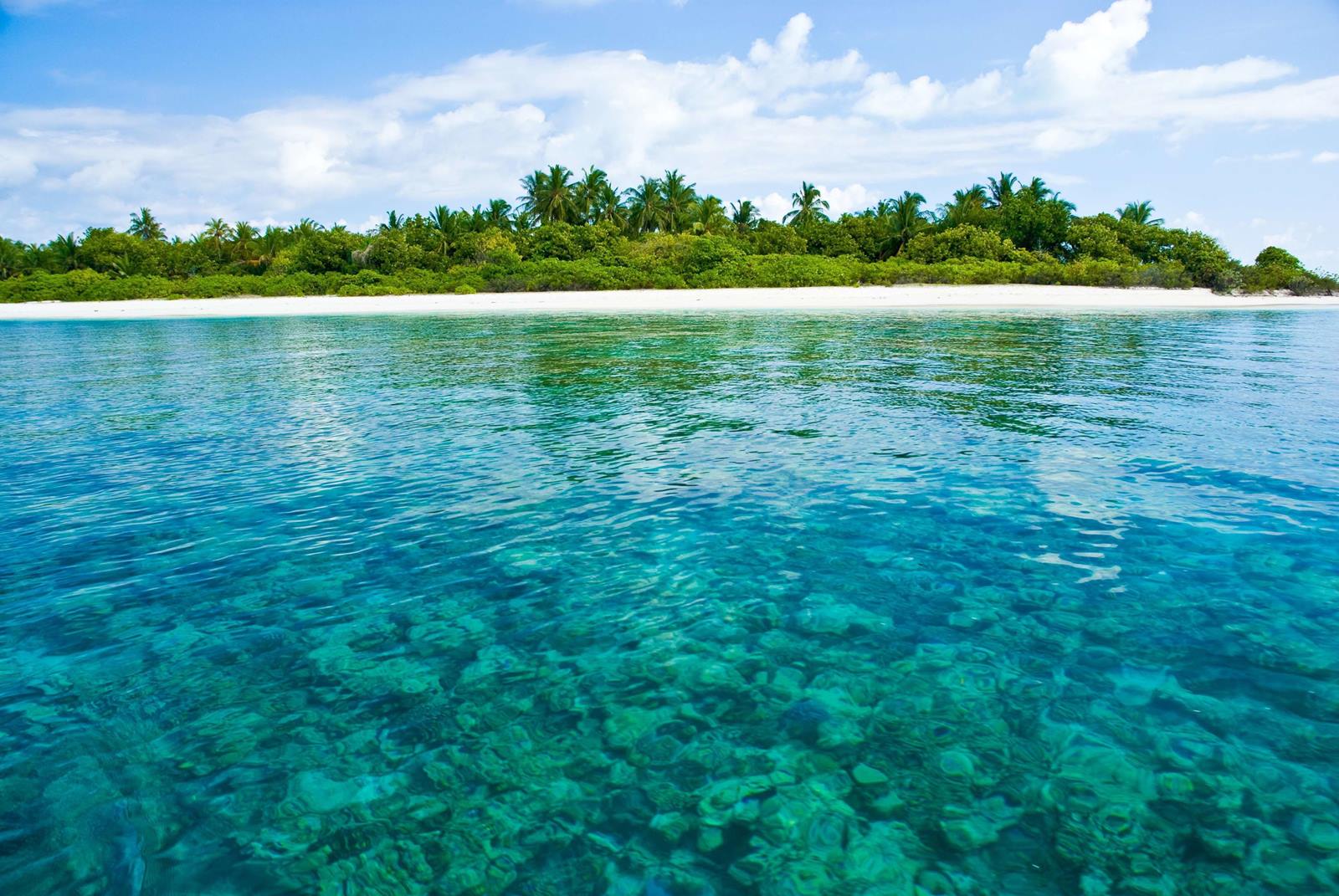 Coco Palm Dhuni Kolhu en Baa Atoll