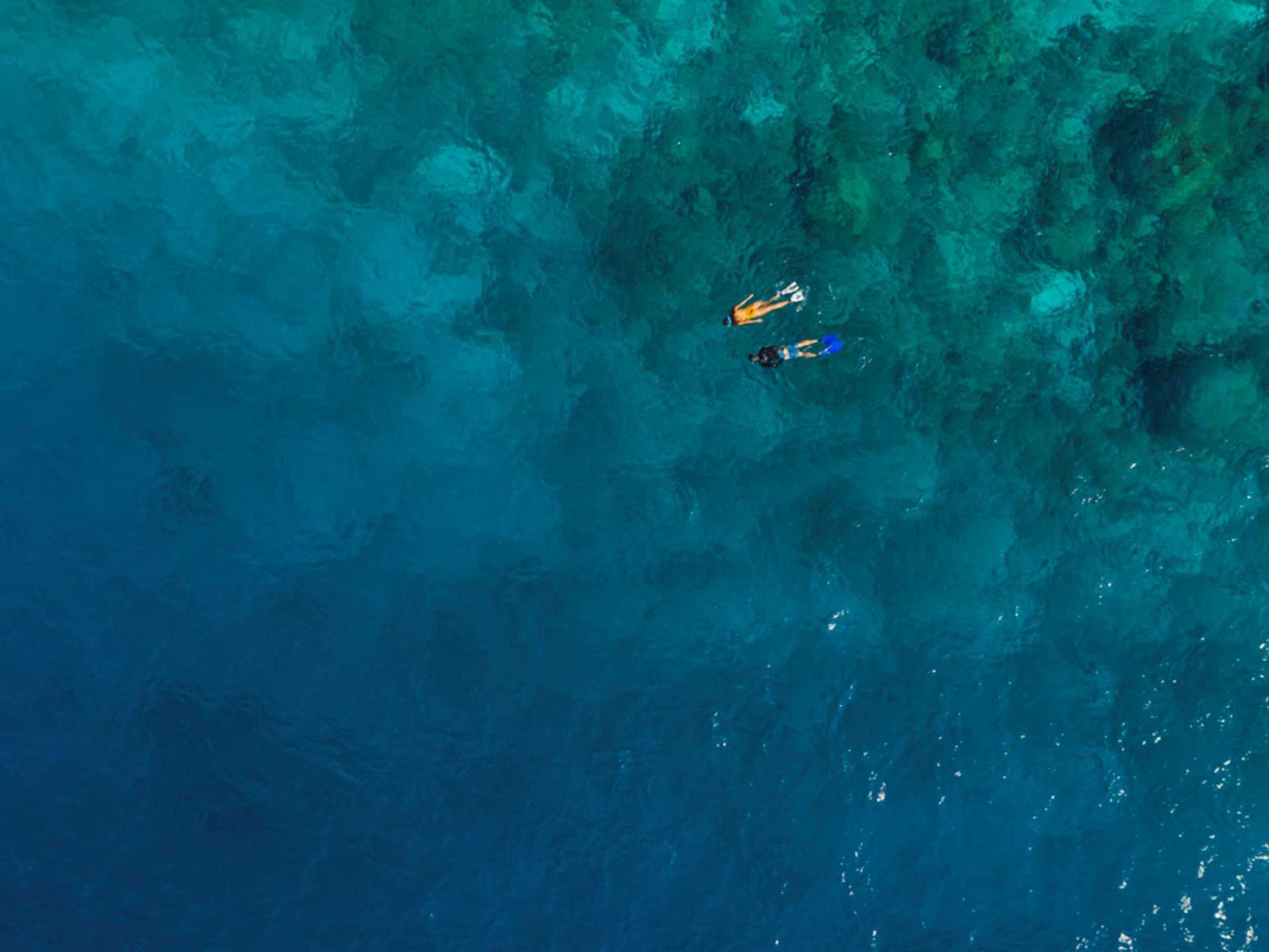 Mövenpick Resort Kuredhivaru Maldives en Noonu Atoll