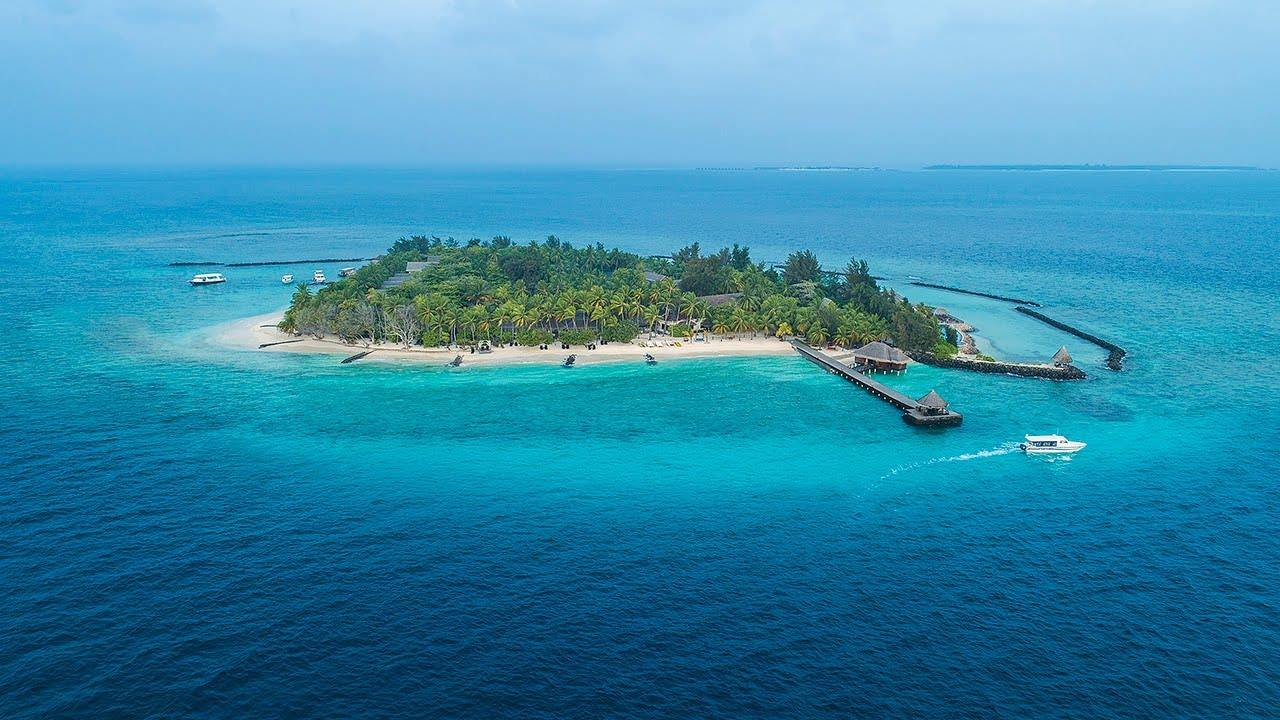 TAJ Coral Reef en North Male Atoll
