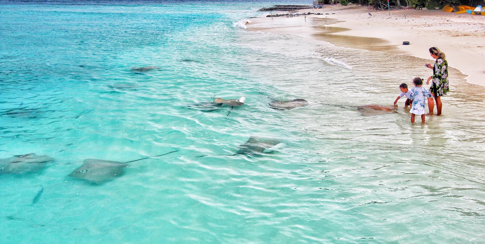 TAJ Coral Reef en North Male Atoll