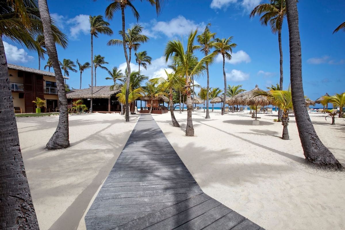 Manchebo Beach Resort and Spa  en Aruba