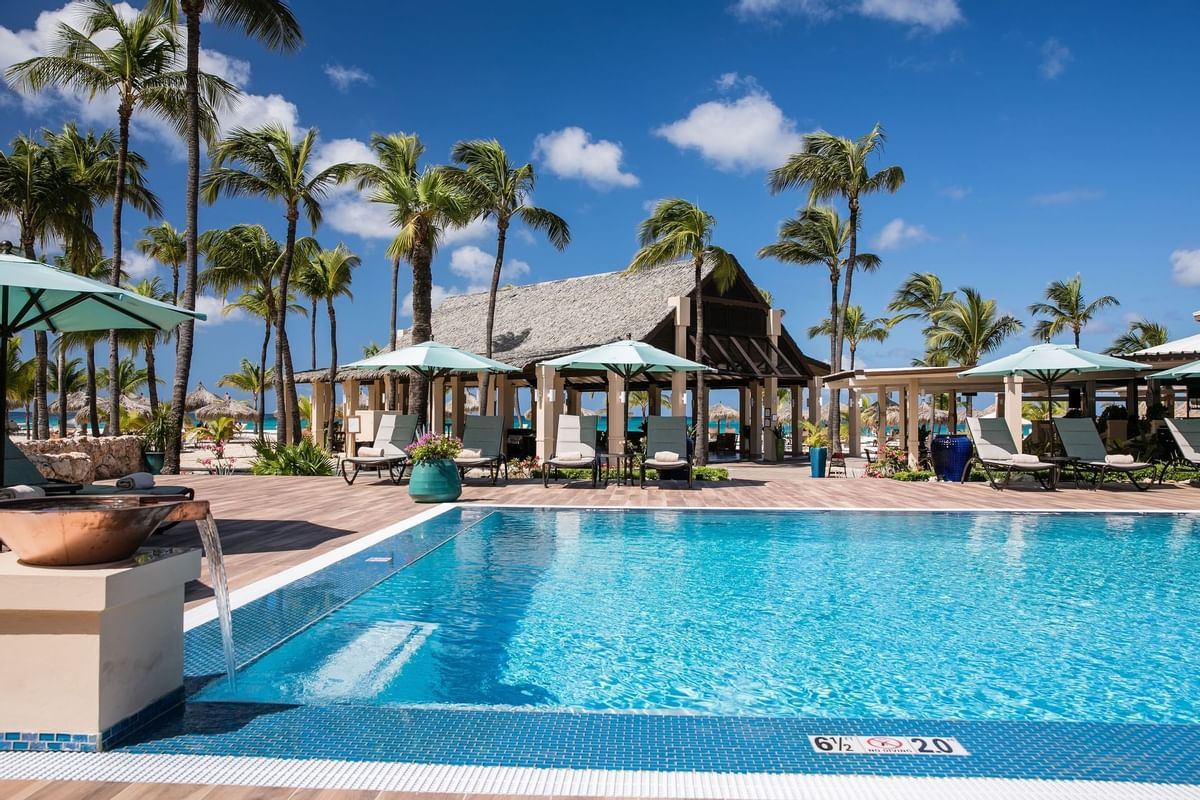 Manchebo Beach Resort and Spa  en Aruba