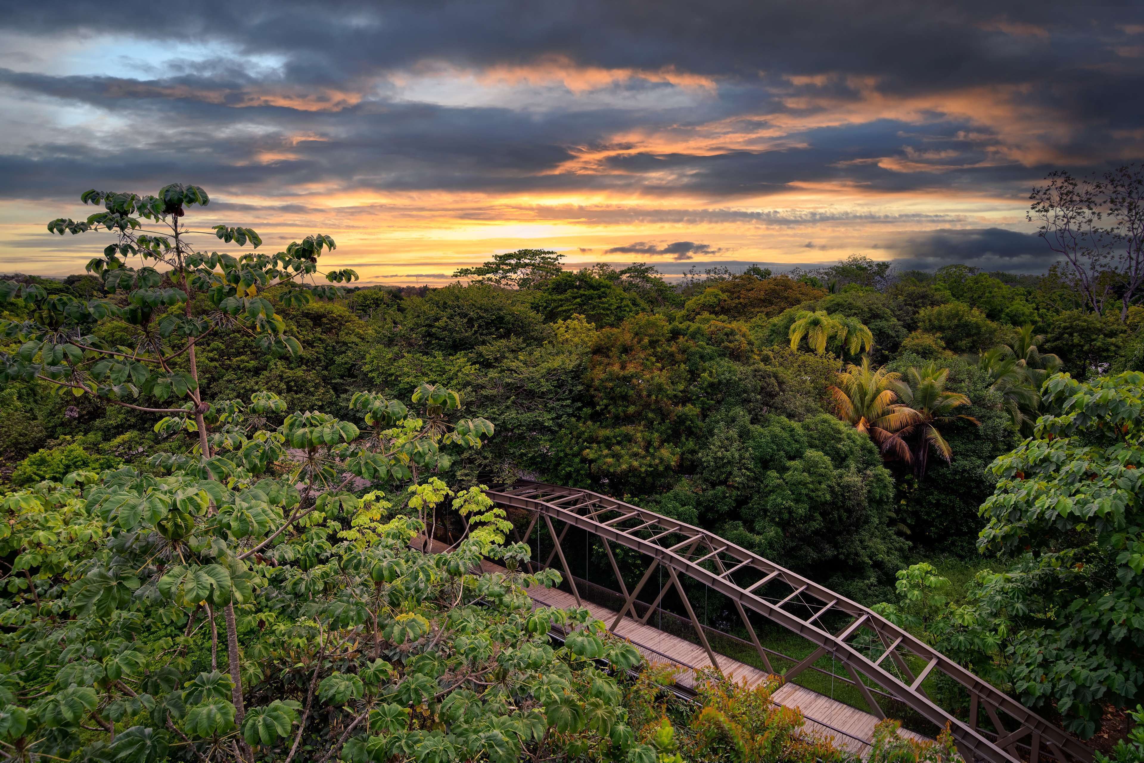 Botanika Osa Peninsula, Curio Collection by Hilton en Manuel Antonio